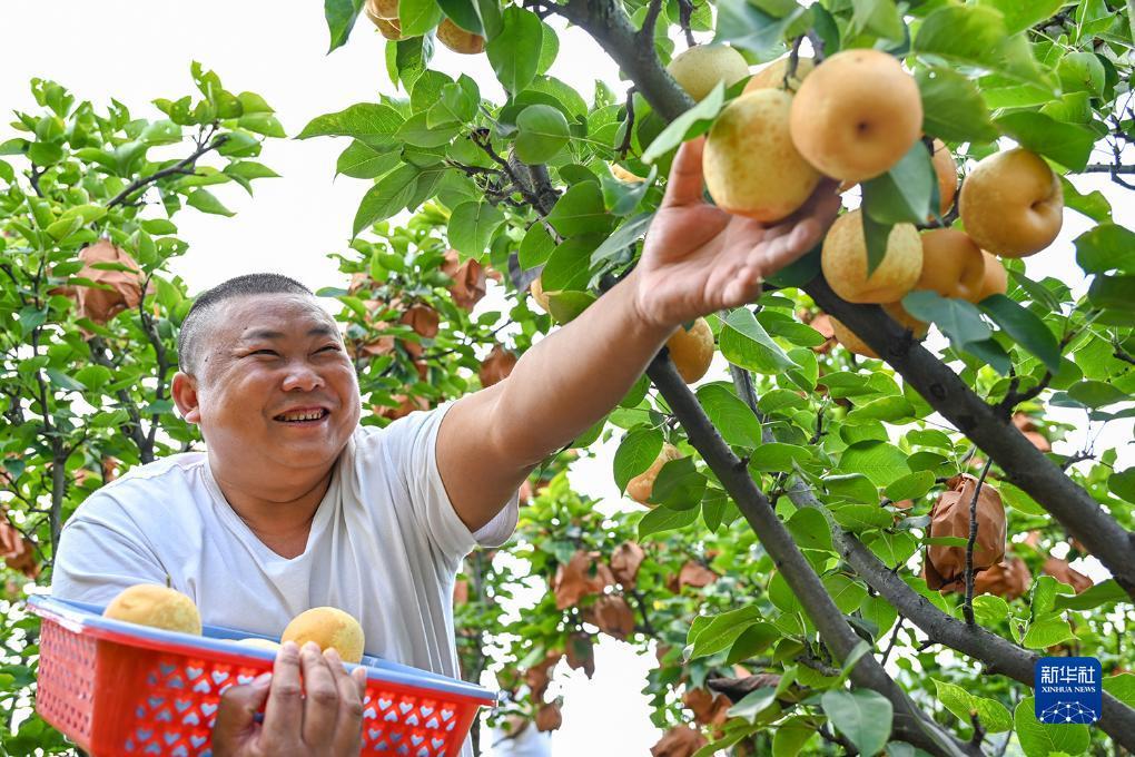 mg平台电子游戏
